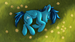 Size: 3840x2160 | Tagged: safe, artist:replacer808, oc, oc only, oc:happy dream, pegasus, pony, 4k, flower, grass, high res, male, overhead view, sleeping, smiling, solo, stallion