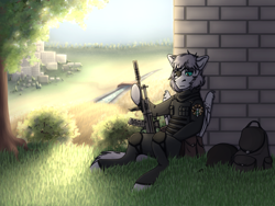 Size: 2048x1536 | Tagged: safe, oc, oc:light knight, pegasus, ak-12, armor, assault rifle, backpack, bridge, bush, city, clothes, contradiction, depressed, depressing, depression, emblem, fantasy class, farm, field, forest, gun, male, metal gear, metal gear solid, metal gear solid 5, military, military uniform, nature, order, pouch, rifle, river, sky, soldier, summer, sun, tree, uniform, warrior, water, weapon