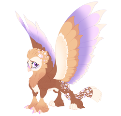 Size: 7500x7200 | Tagged: safe, artist:gigason, oc, oc only, oc:eros, griffon, absurd resolution, adoptable, bald face, beak, blaze (coat marking), brown feathers, brown fur, brown hair, brown tail, cat tail, cheek fluff, claws, coat markings, colored, colored belly, colored claws, colored eyebrows, colored paw pads, colored wings, colored wingtips, concave belly, eye markings, facial markings, fetlock tuft, flat colors, flower, flower in hair, frown, gradient wings, griffon oc, head fluff, leg markings, leopard print, looking back, male, male oc, multicolored wings, nervous, obtrusive watermark, pale belly, paw pads, paws, purple eyes, shy, simple background, solo, spread wings, standing, tail, tail markings, three quarter view, transparent background, watermark, white belly, white wingtips, wings