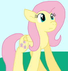 Size: 805x843 | Tagged: safe, artist:cmara, fluttershy, pegasus, g4, solo