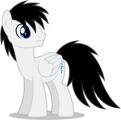 Size: 4498x4488 | Tagged: safe, artist:creedyboy124, oc, oc only, oc:shane park, pegasus, pony, folded wings, looking back, male, pegasus oc, simple background, stallion, transparent background, vector, wings