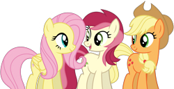 Size: 6961x3571 | Tagged: safe, artist:creedyboy124, applejack, fluttershy, roseluck, earth pony, pegasus, pony, g4, base used, female, group, looking at each other, looking at someone, mare, simple background, transparent background, trio, trio female, vector