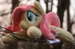 Size: 2672x1752 | Tagged: safe, artist:bastler, fluttershy, pegasus, pony, g4, female, irl, mare, outdoors, photo, plushie, solo, sunset