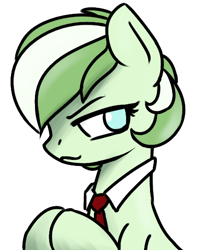 Size: 428x544 | Tagged: safe, artist:alexi148, oc, oc:limeade, earth pony, pony, :3, accessory, clothes, cyan eyes, earth pony oc, female, green coat, hooves together, mare, necktie, no pupils, not lyra, simple background, solo, transparent background, two toned mane