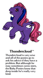 Size: 550x1000 | Tagged: safe, thundercloud (g1), earth pony, pony, g1, my little pony fact file, official, bow, cute, freckles, g1 backstory, male, mountain boy ponies, open mouth, open smile, smiling, solo, stallion, tail, tail bow, text, thundorablecloud, trademark