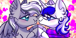 Size: 1000x500 | Tagged: safe, artist:pins_et_needles, oc, oc only, oc:silver edge, oc:stargazer, hybrid, pegabat, pony, unicorn, blue eyes, blue mane, clothes, fangs, glasses, gray coat, heart, hoof hold, horn, looking at each other, looking at someone, love, scarf, smiling, unicorn oc, white coat, white mane, wings