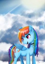 Size: 2480x3508 | Tagged: safe, artist:dashy21, rainbow dash, pegasus, pony, g4, collar, outdoors, signature, solo, sun