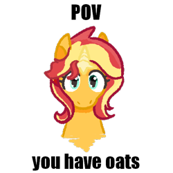 Size: 500x500 | Tagged: safe, artist:zoeyhorse, sunset shimmer, pony, unicorn, g4, colored horn, female, horn, looking at you, mare, simple background, solo, text, transparent background