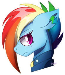 Size: 1727x1971 | Tagged: safe, artist:acidigon, rainbow dash, pegasus, pony, g4, alternate timeline, apocalypse dash, bust, crystal war timeline, female, mare, portrait, scar, simple background, solo, transparent background