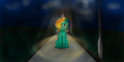 Size: 4096x2048 | Tagged: safe, artist:owlboy, oc, oc only, earth pony, pony, looking at you, night, outdoors, smug, solo