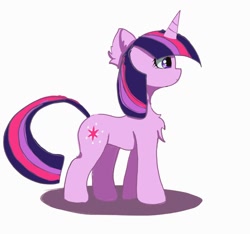 Size: 1024x958 | Tagged: safe, artist:yenne_sistint, twilight sparkle, pony, unicorn, g4, chest fluff, cute, ear fluff, horn, side view, simple background, twiabetes, unicorn twilight