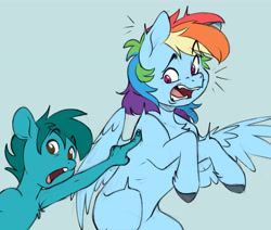 Size: 4593x3890 | Tagged: safe, artist:chub-wub, rainbow dash, pegasus, pony, g4, chest fluff, female, mare, open mouth, unshorn fetlocks, wings