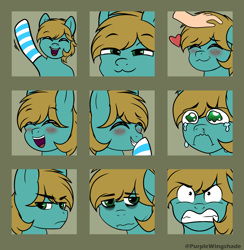 Size: 3000x3076 | Tagged: safe, artist:purple wingshade, oc, oc only, oc:mint drift, pegasus, pony, solo