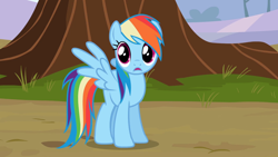 Size: 1920x1080 | Tagged: safe, screencap, rainbow dash, g4, 1080p, spread wings, wings