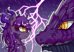 Size: 4093x2894 | Tagged: safe, artist:dw_atias, oc, oc only, oc:nightscale, dracony, dragon, hybrid, female, horn, horns, lightning, slit pupils, solo