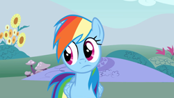 Size: 1920x1080 | Tagged: safe, screencap, rainbow dash, g4, 1080p