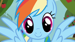 Size: 1920x1080 | Tagged: safe, screencap, rainbow dash, pegasus, pony, g4, my little pony: friendship is magic, season 1, the ticket master, 1080p, cute, dashabetes, female, looking at you, mare