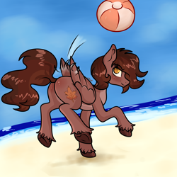 Size: 2000x2000 | Tagged: safe, artist:nikkolover12, oc, oc only, oc:autumn rosewood, pegasus, beach, beach ball, butt, commission, hooves, male, ocean, outdoors, pegasus oc, plot, sky, solo, stallion, underhoof, unshorn fetlocks, water, wings, ych result