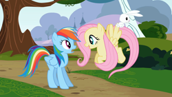 Size: 1920x1080 | Tagged: safe, screencap, angel bunny, fluttershy, rainbow dash, pegasus, pony, rabbit, g4, may the best pet win, my little pony: friendship is magic, 1080p, animal, outdoors, tree, trio