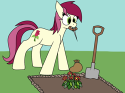 Size: 1038x772 | Tagged: safe, artist:craftedburb, roseluck, earth pony, pony, g4, farming, nasturtiums, runescape