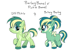 Size: 2360x1640 | Tagged: safe, oc, oc only, oc:briney barley, oc:dill pickle, pegasus, pony, blank flank, brother and sister, colored wings, colt, duo, female, filly, foal, male, markings, multicolored hair, multicolored wings, offspring, parent:barley barrel, parent:pickle barrel, parents:barrelcest, pigtails, product of incest, requested art, siblings, twins, unshorn fetlocks, vitiligo, wings