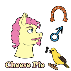 Size: 1000x1000 | Tagged: safe, artist:korencz11, oc, earth pony, pony, male, parent:cheese sandwich, parent:pinkie pie, solo