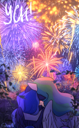 Size: 2480x4000 | Tagged: safe, artist:sinrinf, princess celestia, princess luna, alicorn, g4, commission, fireworks, hug, ych example, your character here