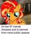 Size: 1080x1184 | Tagged: safe, artist:shimmerclaws_, sunset shimmer, pony, unicorn, g4, big eyes, caption, female, horn, meme, mental illness, real life background, solo, solo female, text, two toned mane, yellow coat