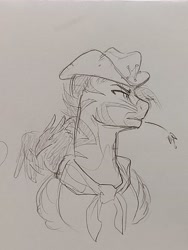 Size: 3468x4624 | Tagged: safe, artist:hkpegasister, raven, oc, bird, pegasus, raven (bird), zebra, zebrasus, g4, bust, clothes, cowboy hat, hat, pegasus oc, pencil drawing, portrait, scarf, solo, traditional art