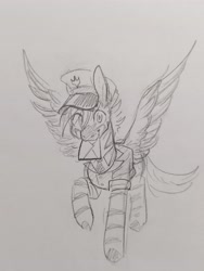 Size: 3468x4624 | Tagged: safe, artist:hkpegasister, oc, pegasus, zebra, zebrasus, bag, happy, letter, male, postman's hat, solo, solo male, standing, traditional art, zebra oc