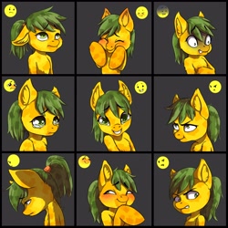 Size: 3000x3000 | Tagged: safe, artist:rokufuro, oc, oc only, oc:pepper slice, earth pony, pony, ear fluff, female, mare, solo