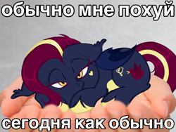 Size: 736x552 | Tagged: safe, artist:dogi dogs, oc, oc only, oc:nightingale ode, bat pony, pony, bat pony oc, cyrillic, female, mare, russian, solo, wings