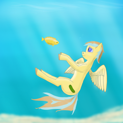 Size: 3000x3000 | Tagged: safe, artist:owlboy, oc, oc only, fish, pegasus, pony, ocean, solo, underwater, water, wings