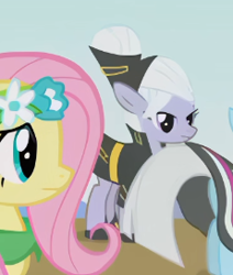 Size: 231x272 | Tagged: safe, screencap, fluttershy, photo finish, regal candent, g4, green isn't your color, my little pony: friendship is magic, hoof shoes