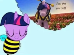 Size: 1080x805 | Tagged: artist needed, source needed, safe, twilight sparkle, bee, bee pony, insect, original species, pony, unicorn, g4, clothes, costume, exploitable meme, horn, just bee yourself, meme, plushie, solo, species swap, thought bubble