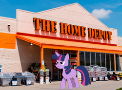 Size: 1002x740 | Tagged: safe, twilight sparkle, pony, unicorn, g4, home depot, horn, solo