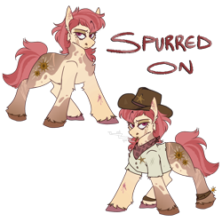 Size: 2000x2000 | Tagged: safe, artist:molars, oc, oc only, oc:spurred on, earth pony, pony, fallout equestria, bandana, brown hooves, character design, clothes, cowboy hat, different coloured hooves, earth pony oc, eyebrows, female, hat, long mane, mare, mare oc, patch, pink hooves, pony oc, raised eyebrow, reference sheet, scar, sheriff, sheriff's badge, shirt, simple background, solo, stetson, transparent background, unshorn fetlocks, western