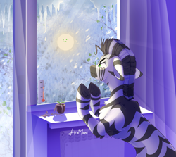 Size: 1869x1668 | Tagged: safe, alternate version, artist:alrumoon_art, oc, oc only, oc:rayven, zebra, series:rayven's season hatepack, :3, angry, floppy ears, indoors, male, plant, solo, spring, sun, thermometer, window, zebra oc