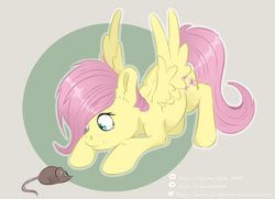 Size: 1800x1300 | Tagged: safe, artist:ulart, fluttershy, mouse, pegasus, pony, g4, female, filly, filly fluttershy, looking at something, simple background, solo, spread wings, wings, younger