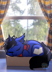 Size: 1996x2741 | Tagged: safe, artist:fluffyghost, oc, oc only, bat pony, hybrid, pony, unicorn, bat pony oc, box, clothes, commission, curtains, horn, hybrid oc, indoors, irl, nature, photo, pony in a box, scarf, sleeping, solo, unicorn oc, window, ych result