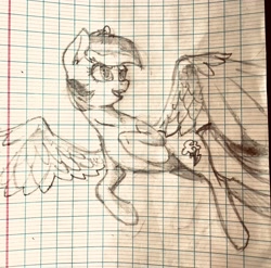 Size: 2048x2020 | Tagged: safe, artist:naafreelanceartist, rainbow dash, pegasus, pony, g4, female, flying, lined paper, mare, open mouth, sketch, solo, spread wings, traditional art, wings