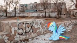 Size: 1024x576 | Tagged: safe, artist:slavaboobrony, artist:sollace, rainbow dash, human, pegasus, pony, g4, my little pony: friendship is magic, testing testing 1-2-3, balcony, balykchy, bicycle, city, commieblocks, cute, dashabetes, female, graffiti, irl, kyrgyzstan, laughing, open mouth, outdoors, photo, plattenbau, ponies in real life, sex, sitting, smiling, snow, spread wings, tree, wall, wings