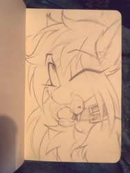 Size: 3024x4032 | Tagged: safe, artist:madragon, oc, oc only, oc:lunylin, shrimp, :3, bangs, bust, chest fluff, collar, ear fluff, female, looking up, mare, one eye closed, portrait, solo, traditional art