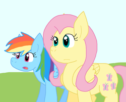 Size: 1113x899 | Tagged: safe, artist:cmara, fluttershy, rainbow dash, pegasus, g4, duo, duo female, female, solo