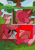 Size: 2733x3866 | Tagged: safe, artist:piesinful, pinkie pie, earth pony, pony, comic:unlucky day, fanfic:cupcakes, g4, apple, apple core, apple tree, basket hat, eating, female, food, grass, hat, letter, mare, symbolism, tongue out, tree