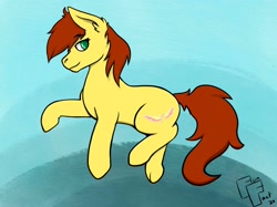 Size: 2732x2048 | Tagged: safe, artist:funfact216, oc, oc:nima, earth pony, cutie mark, female, green eyes, mare, red mane, side eye, simple background, yellow coat