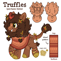 Size: 2000x2000 | Tagged: safe, oc, oc:truffles, kirin, clothes, female, poncho, reference sheet, solo