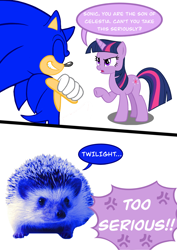 Size: 2480x3508 | Tagged: safe, artist:phantomsavior616, twilight sparkle, hedgehog, mobian, pony, unicorn, anthro, g4, 2 panel comic, animal, comic, crossed arms, fanfic art, female, high res, irl animal, male, mare, meme, simple background, sonic the hedgehog, sonic the hedgehog (series), speech bubble, too serious, unicorn twilight, white background