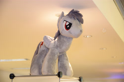 Size: 4928x3264 | Tagged: safe, oc, oc only, pegasus, galacon, 2015, folded wings, indoors, irl, pegasus oc, photo, plushie, solo, wings