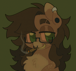 Size: 2048x1906 | Tagged: safe, oc, oc only, earth pony, pony, drug use, drugs, ear piercing, furry, gay, high res, joint, long hair, male, marijuana, nose piercing, piercing, profile picture, septum piercing, smoking, transgender